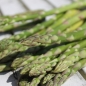 Spargel Mary Washington (Samen)