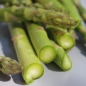Spargel Mary Washington (Samen)