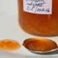 Spilling rot-gelb (Pflanze)