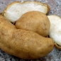 - Kopie - Kopie