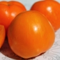 - Kopie - Kopie - Kopie