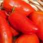 Tomate Alter Kommunist (Samen)