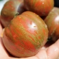 Tomate Black and Red Boar (Samen)