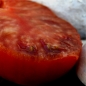 Tomate Black Krim