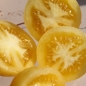 Tomate Blonde Boar (Samen)