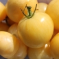 Tomate Blonde Boar (Samen)
