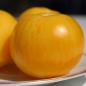 Tomate Blonde Boar (Samen)