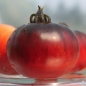 Tomate Blue Beauty (Samen)