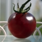 Tomate Blue Pitts (Samen)