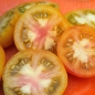 Tomate Bluegold (Samen)