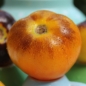 Tomate Bluegold (Samen)