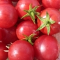 Tomate Brandywine Cherry (Samen)