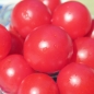 Tomate Brandywine Cherry (Samen)