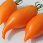 - Kopie - Kopie - Kopie - Kopie - Kopie - Kopie
