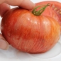 Tomate Cherokee Tiger Black Dwarf (Samen)