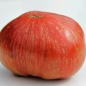 Tomate Cherokee Tiger Black Dwarf (Samen)