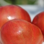 Tomate Cherokee Tiger Black Dwarf (Samen)