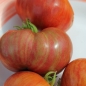 Tomate Cherokee Tiger Black Dwarf (Samen)