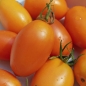 Tomate Chuloma (Samen)
