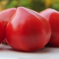 Tomate Coeur d'Antan (Samen)