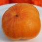Tomate Copia (Samen)