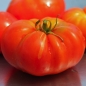 Tomate Costoluto Genovese (Samen)