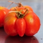 Tomate Costoluto Genovese (Samen)