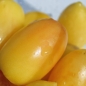 Tomate Cream Sausage (Samen)