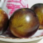 Tomate Dark Antho (Samen)