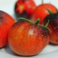 Tomate Dark Galaxy (Samen)