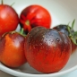 Tomate Dark Galaxy (Samen)
