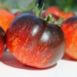 Tomate Dark Galaxy (Samen)