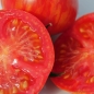 Tomate Dragon`s Eye (Samen)