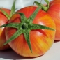 Tomate Dragon`s Eye (Samen)
