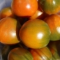 Neu! Tomate Evil Olive (Samen)