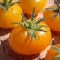 Tomate Fablonelystyni (Samen)