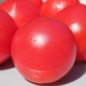 Neu! Tomate Faworyt (Pflanze)