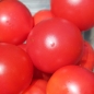 Neu! Tomate Faworyt (Pflanze)