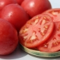 Neu! Tomate Faworyt (Samen)