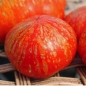 Tomate Feuerwerk (Samen)