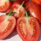 Tomate Geraldine (Pflanze)