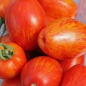 Tomate Geraldine  (Samen)
