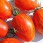 Tomate Geraldine  (Samen)