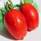 Tomate Geraldine  (Samen)
