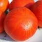 Tomate Gogo Polystranyi (Samen)