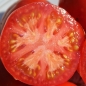 Tomate Gogo Polystranyi (Samen)