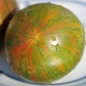 Tomate Green Copia (Samen)