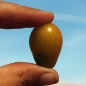 Tomate Green Pear (Samen)
