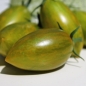 Tomate Green Tiger  (Pflanze)