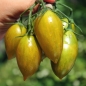 Tomate Green Tiger  (Pflanze)